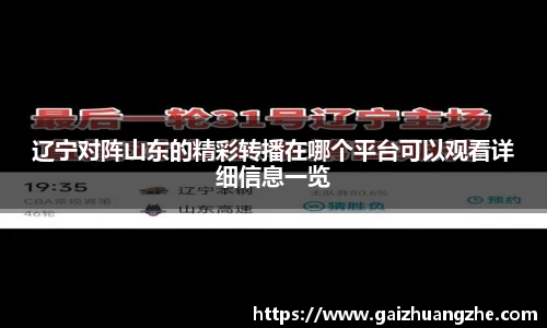 辽宁对阵山东的精彩转播在哪个平台可以观看详细信息一览